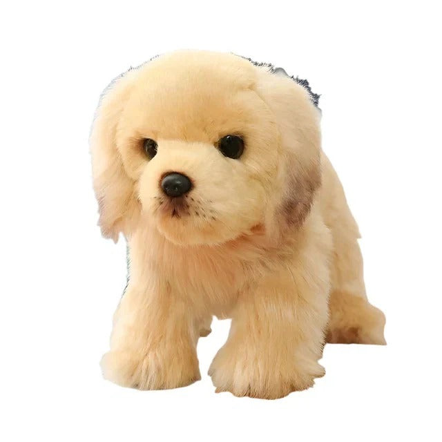 These focus on the fact that this toy won't stay dirty or smelly forever