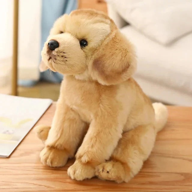 These focus on the fact that this toy won't stay dirty or smelly forever